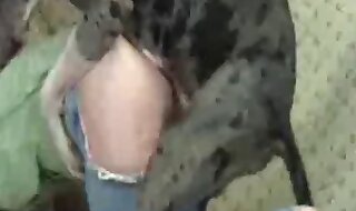 beastiality porn