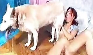 beastiality porn