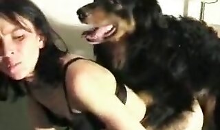 dog porn