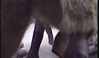 zoo porno free