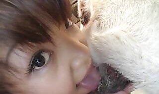 animal fucked