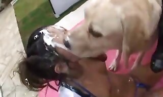 beastiality porn