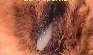 zoo blowjob