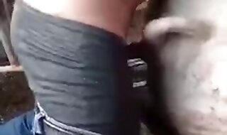 asshole