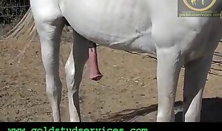 lusty