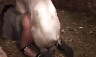 dog cunt