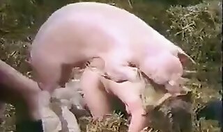 fucking dog