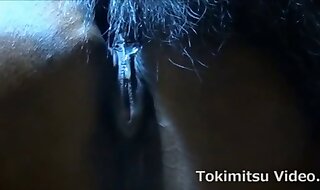 zoo video