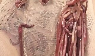worms