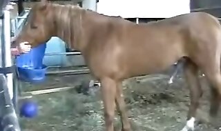 zoo porno free
