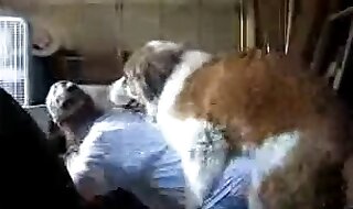 bestiality sex