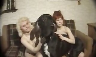 beastiality porn