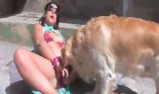 animal sex