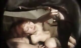 zoo porno hd