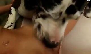 animal sex