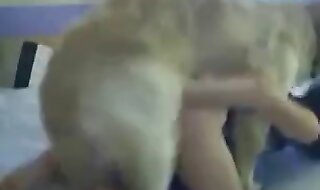dog porn