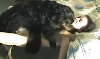 animal sex
