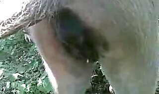 zoo porno free