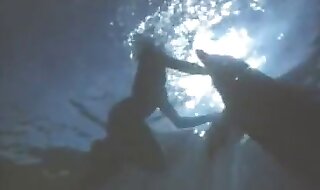 animals videos