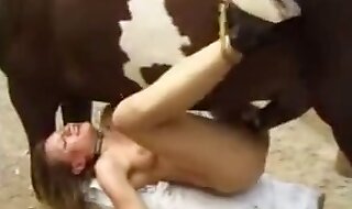 horse fucks