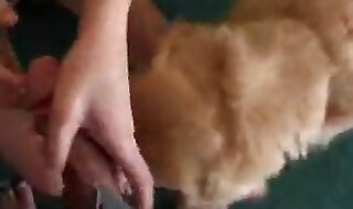 zoo porno free