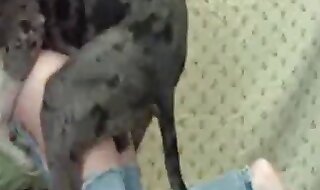 animal sex