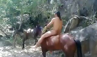 aniamls