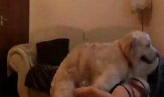 zoo porno hd
