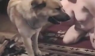 zoo porno hd