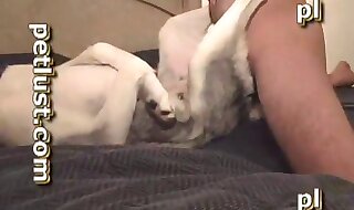 animal sex