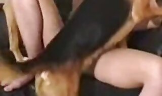 animal sex